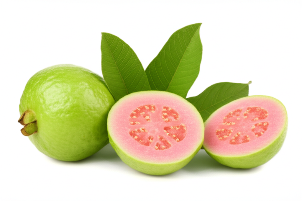 Guava Pulp Extract
